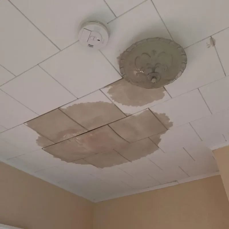 Ceiling Water Damage Repair in New Glarus, WI