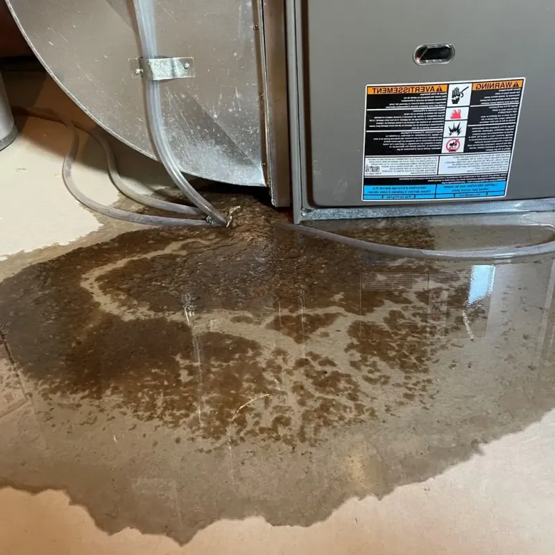 Pipe Burst and Leak Restoration in New Glarus, WI