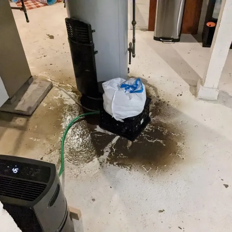 Sewage Backup Cleanup Service in New Glarus, WI